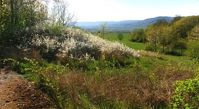 Příroda si ráda hraje *