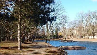 Na břehu Zámeckého rybníka