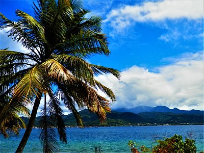 Pohled z pevnosti Fort Shirley