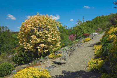 26-Arboretum Makču Pikču