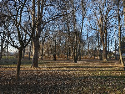 Kuřim 27.12. a sníh nikde *
