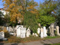 Jeden den v životě České republiky