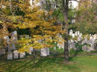 Jeden den v životě České republiky