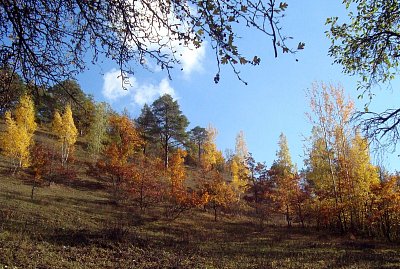 Podzimní Bílá stráň *