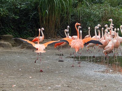 Krása na první pohled