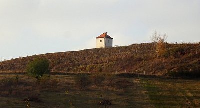 30-velke-zernoseky-vinicni-domek.jpg