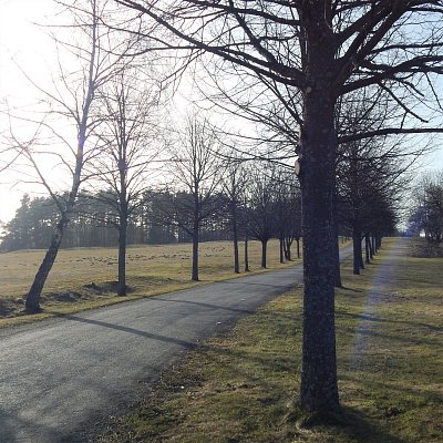 Cesta ke golfovému hřišti