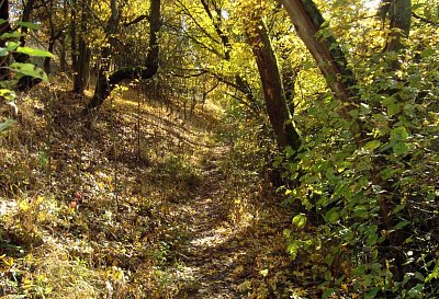 32. Cesta kolem potoka