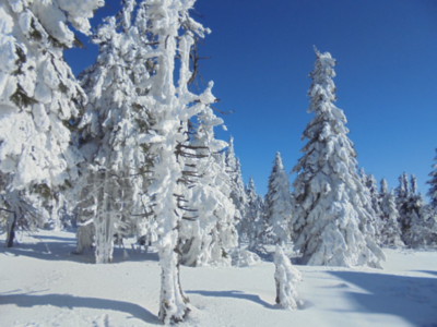 Krkonoše