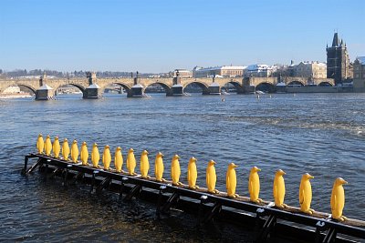 34 tučňáků od Craking art group