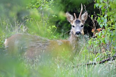 Zřejmě se s někým pral