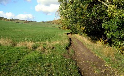 35. Tato cesta vede podél potoka až do Skalice. Ale tam nepůjdeme.