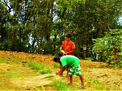 Poslední Kalinagové smíšení s černochy