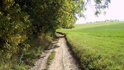 36. Touto cestou domů