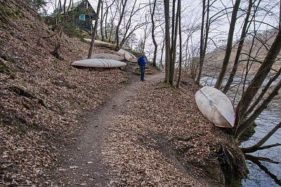37 - Zimu strávily na souši.
