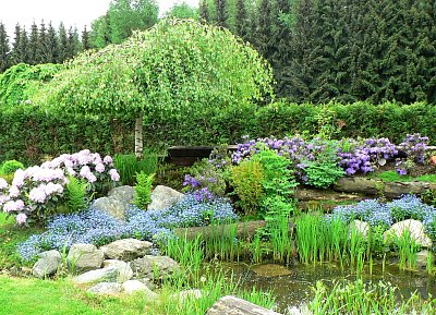 Břízka pod skalkou