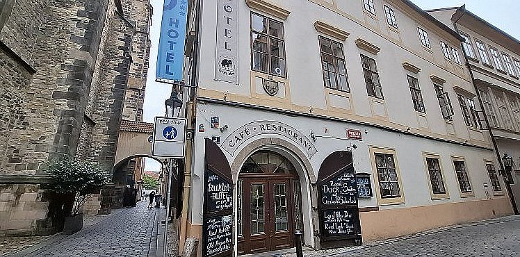 černý slon.jpg