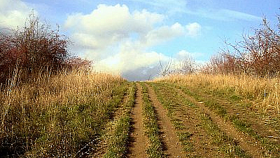 Cesta
