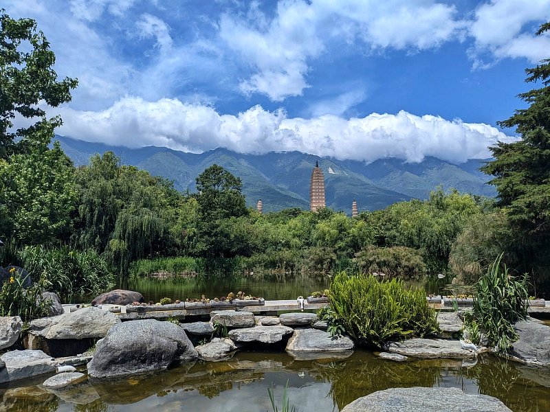 cina-Dali4.jpg
