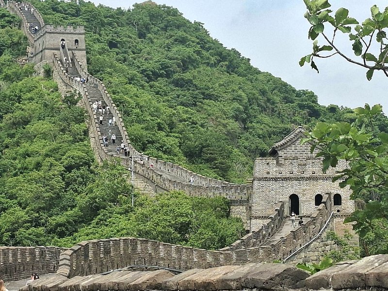 cina-velkaZed3.jpg