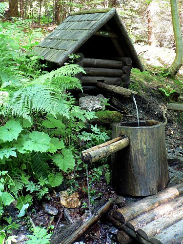 Dřevěná studánka v Jeseníkách