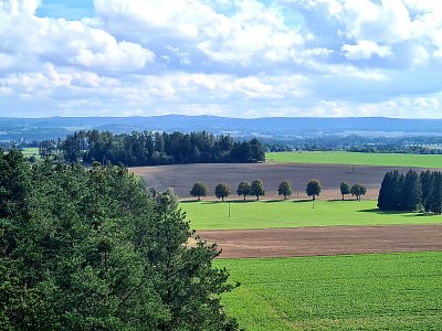 Pohled na Javořickou vrchovinu
