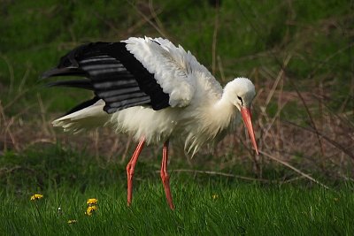 To nebylo dobrý, brrr