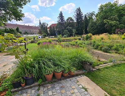 Bylinky, traviny, květiny