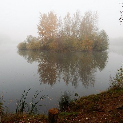 Ostrůvek v ranní mlze