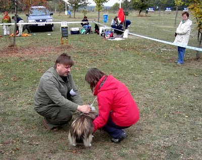 4. krajská soutěž