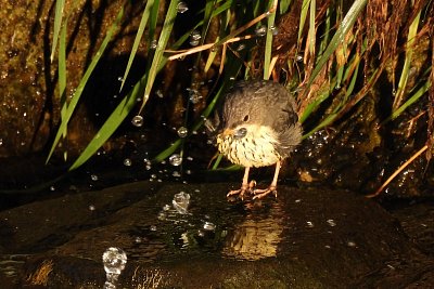 Fuj, tady všechno studí