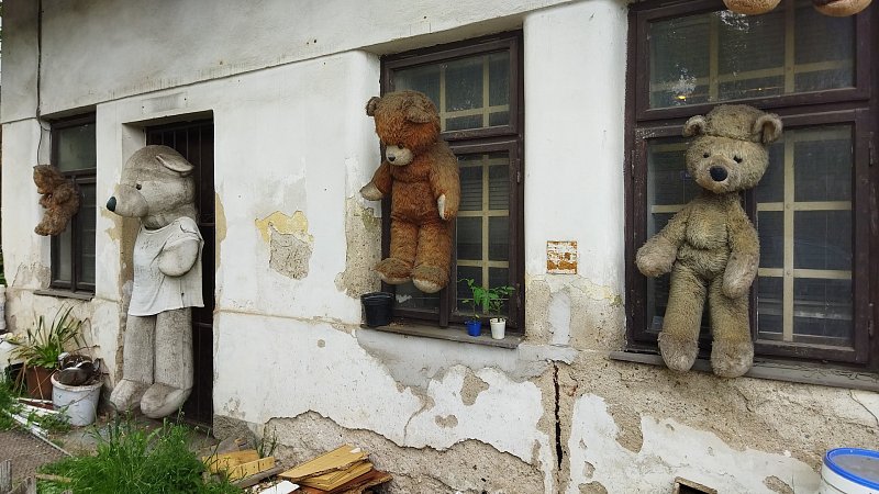 Medvědi nevědí...