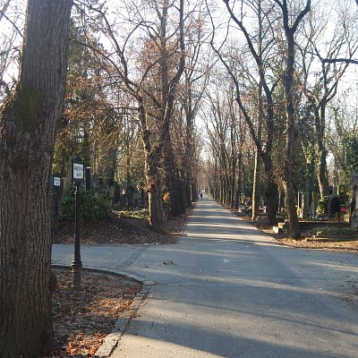 Přehledné křižovatky