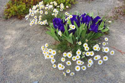 43-Arboretum Makču Pikču