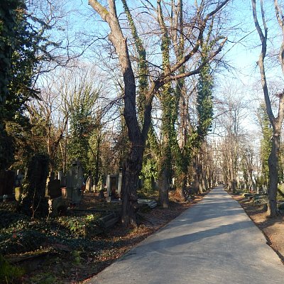 Pohodlné asfaltové cesty