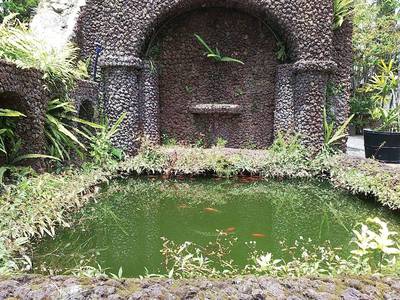 44. V jezírku čile proplouvají menší červené rybky