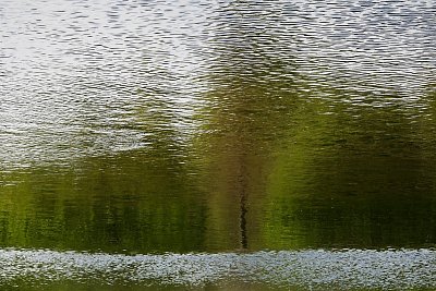 Vodní hladina obrazem