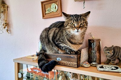 Jarní nostalgie s Babetou