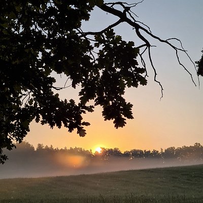 Do "odhalení" zbývá chvilka