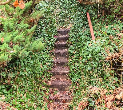 Zátiší se zarůstajícími schody