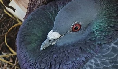 Inspirace přišla od kolegy - děkuji!