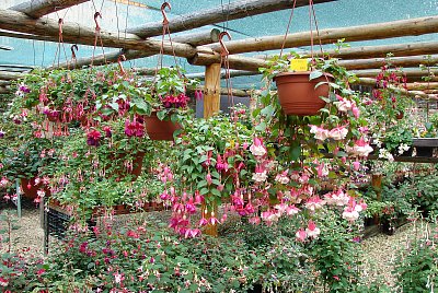 Járu Cimrmana můžete mít doma