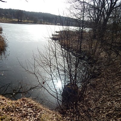Brzké jaro na Mnišském rybníku
