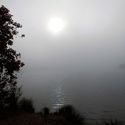 Slunce si razí cestu