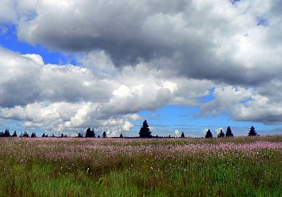 Oblaka nad rašeliništěm na Božím Daru