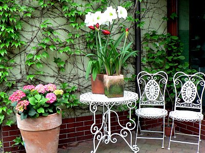 Květinové zátiší