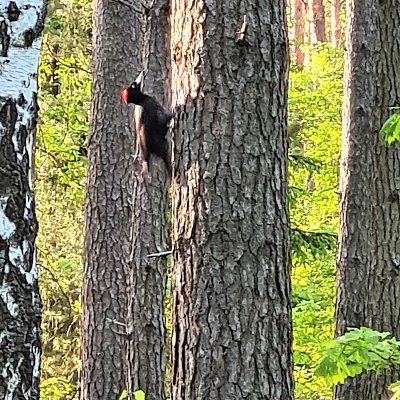 Připraven na práci