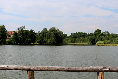 Markvartický rybník