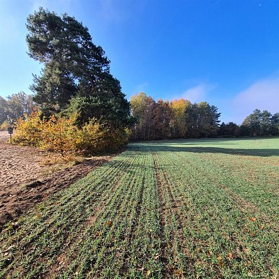 Na kraji písečné duny