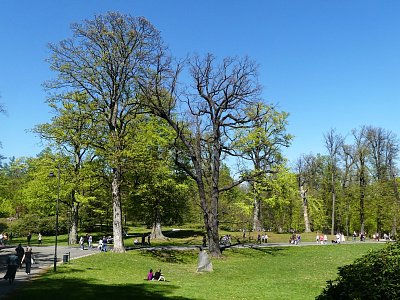 7-velky-park-ale-plny-lidi.jpg